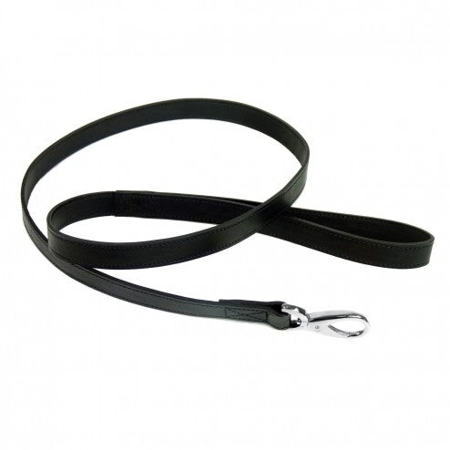 BARCLAY IN BLACK DOG LEAD