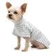 GREY BASIC STRIP DOG TEE, Pajamas - Bones Bizzness