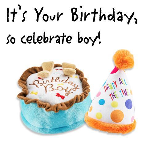 BIRTHDAY BOY DOG TOY BUNDLE