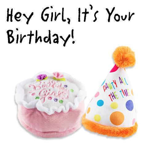 HEY GIRL IT'S YOUR BIRTHDAY DOG TOY BUNDLE