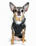 BLACK ELITE REFLECTIVE DOG COAT PUFFER, Coats - Bones Bizzness