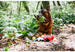 BUGGING OUT PLUSH DOG TOY COLLECTION, Toys - Bones Bizzness