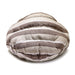 BROWN STRIPED BURGER DOG BED, Beds - Bones Bizzness