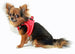 EZ REFLECTIVE SPORTS MESH HARNESS VEST - RED