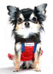 MUTTSONI LACE DOG DRESS