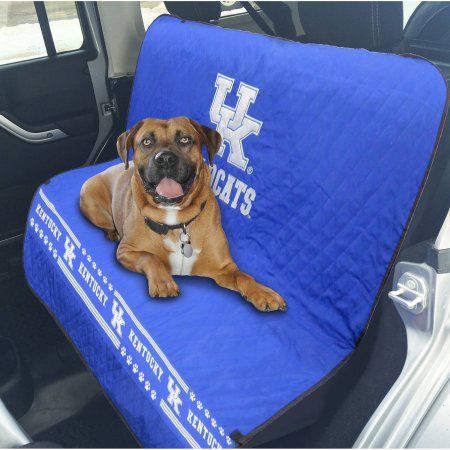 KENTUCKY WILDCATS CAR SEAT COVER, NCAA - Bones Bizzness