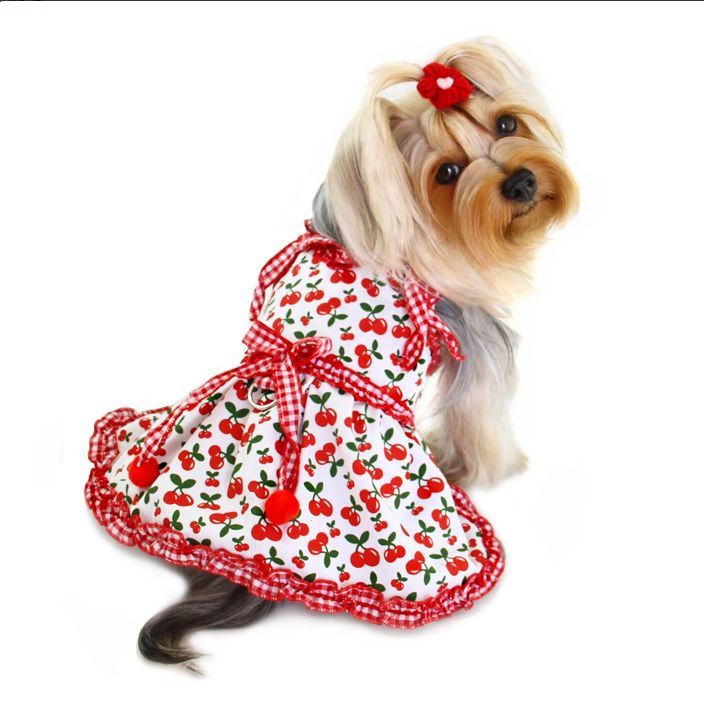 SWEET CHERIES DOG DRESS W/ D-RING, DRESS - Bones Bizzness