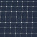 NAVY CASPIAN LOUNGE DOG BED, Beds - Bones Bizzness