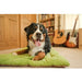 PLAY ECO-FRIENDLY CHILL DOG MAT/PAD, Rugs - Bones Bizzness