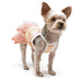 CITRUS DOG TANK DRESS, Dress - Bones Bizzness