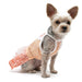 CITRUS DOG TANK DRESS, Dress - Bones Bizzness