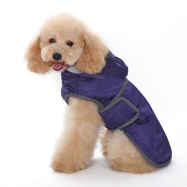 CLASSIC DOG TRENCH COAT PURPLE, Coats - Bones Bizzness