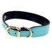 COLONY CLUB IN SOFT TURQUOISE DOG COLLAR, Collars - Bones Bizzness