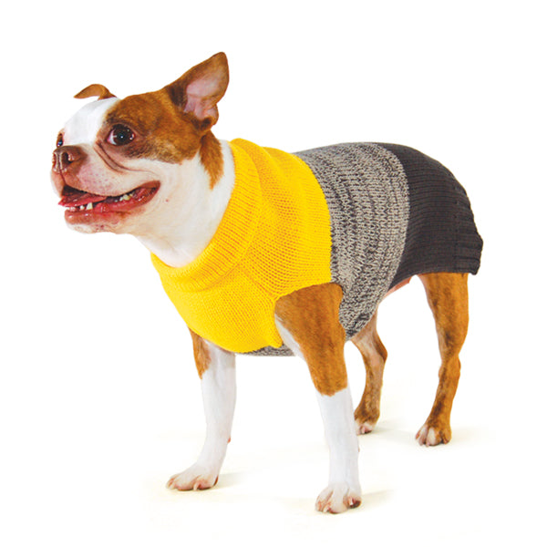 COLOR BLOCK DOG SWEATER, Sweaters - Bones Bizzness