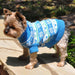 Snowflake and Hearts Combed Cotton Dog Sweater - Blue, Sweaters - Bones Bizzness