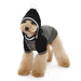 CONTRAST HOODIE DOG SWEATER, Sweaters - Bones Bizzness