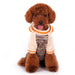 CONTRAST HOODIE DOG SWEATER BEIGE, Sweaters - Bones Bizzness