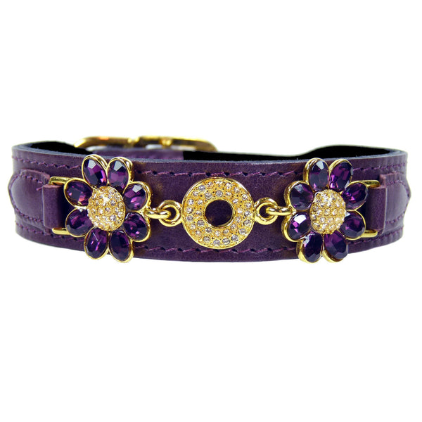 DAISY IN PAPAL PURPLE DOG COLLAR, Collars - Bones Bizzness