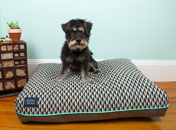 GEM DOG BED - ONYX | LIMITED EDITION, Beds - Bones Bizzness