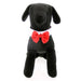 RED SATIN DOG BOW TIE AND COLLAR, ACCESSORIES - Bones Bizzness