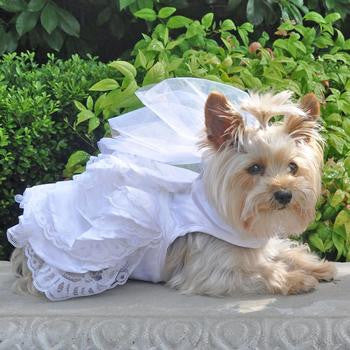 DOG WEDDING HARNESS DRESS SET, Dress - Bones Bizzness