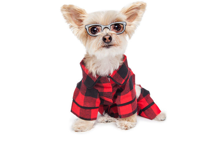 BUFFALO CHECK DOG PAJAMAS (NEW LARGER SIZES), PAJAMAS - Bones Bizzness