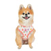 HOPPER PUPPIA DOG HARNESS - (2 COLORS)