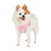 LANA PUPPIA DOG HARNESS - WHITE