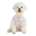 HOPPER PUPPIA DOG HARNESS - (2 COLORS)