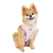 LANA PUPPIA DOG HARNESS - WHITE