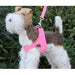 PLAIN ULTRASUEDE STEP-IN DOG HARNESS- (42 COLORS), Harness - Bones Bizzness