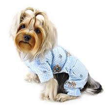 ADORABLE TEDDY BEAR LOVE FLANNEL DOG PJ'S - LIGHT BLUE, PAJAMAS - Bones Bizzness