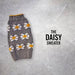 DAISY FLOWER DOG SWEATER - Bones Bizzness