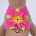 ISLAND FLOWER TINKIE DOG HARNESS - 12 COLORS, Harness - Bones Bizzness