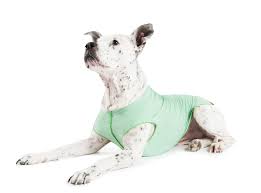 PISTACHIO HEATHER SUN SHIELD DOG TEE