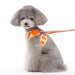 EASYGO SWEET FLOWER DOG HARNESS, Harness - Bones Bizzness