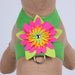 ISLAND FLOWER TINKIE DOG HARNESS - 12 COLORS, Harness - Bones Bizzness