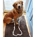 SOGGY DOGGY DOG DOORMAT CHOCOLATE W/ OATMEAL BONE, Rugs - Bones Bizzness