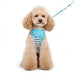 EASYGO BANDANA ALL-IN-ONE DOG HARNESS VEST & LEASH, Harness - Bones Bizzness