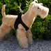 PLAIN ULTRASUEDE STEP-IN DOG HARNESS- (42 COLORS), Harness - Bones Bizzness