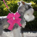 CRYSTAL NOUVEAU BOW STEP-IN DOG HARNESS - (53 COLORS), Harness - Bones Bizzness