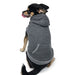 DRAWSTRING DOG HOODIE - GREY, Sweaters - Bones Bizzness