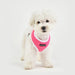 SOFT HARNESS® II  -WINE / PINK / SKY BLUE / NAVY / BLACK /  ORANGE / GREEN