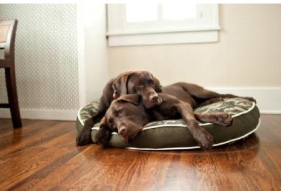 CAMOUFLAGE DOG BED - ARMY GREEN, Beds - Bones Bizzness