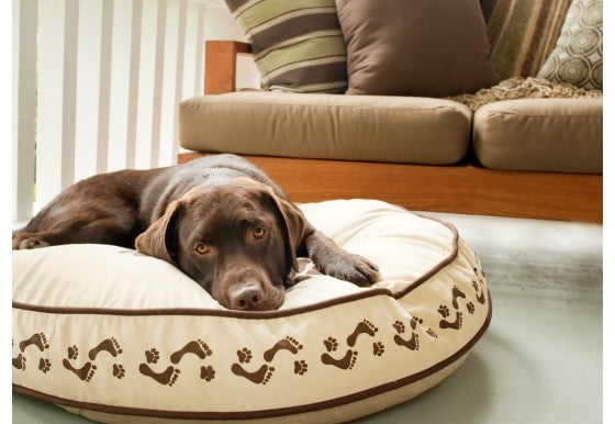 FOOTPRINTS DOG BED - KHAKI/CHOCOLATE, Beds - Bones Bizzness