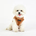 PUPPIA TERRY HARNESS B, Harness - Bones Bizzness