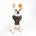 PUPPIA ELLIOTT HARNESS A, Harness - Bones Bizzness