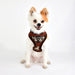 PUPPIA PRANCER HARNESS A, Harness - Bones Bizzness