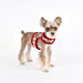 JOY PINKA DOG HARNESS - WINE