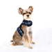 MIRABELLE PINKA DOG HARNESS - NAVY